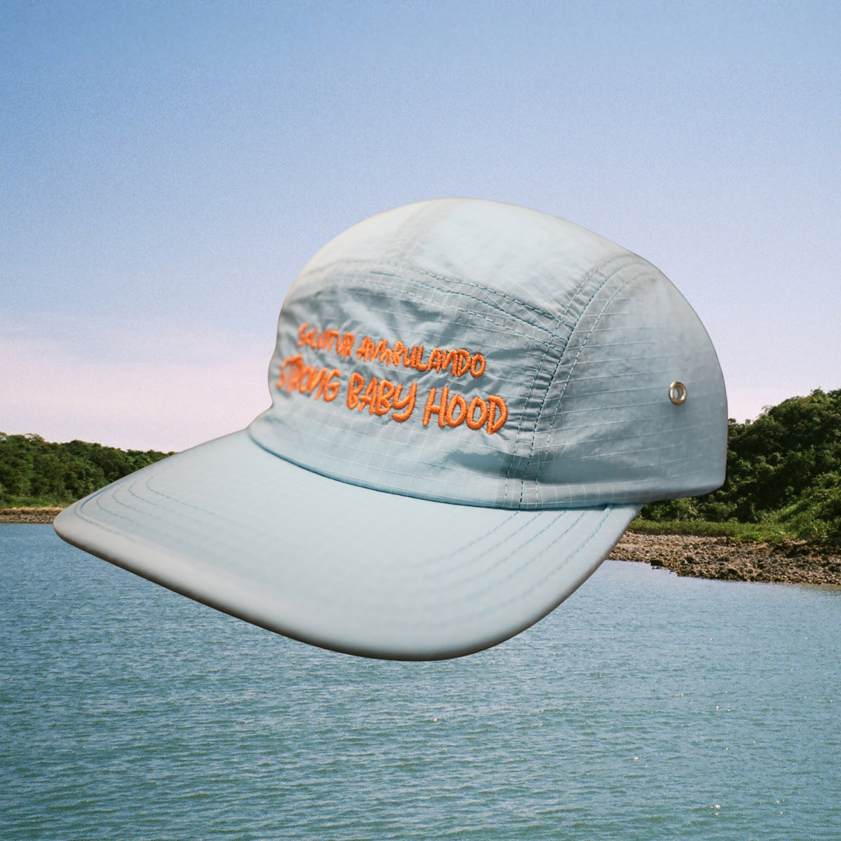 HAVE A WALK CAP